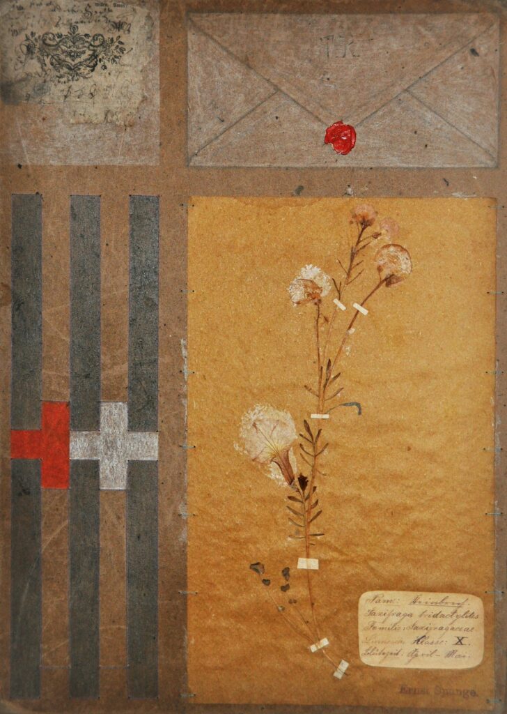 Thomas Ranft, nonkonforme Kunst aus der DDR